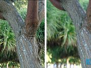 Perbedaan Optical Zoom Dengan Digital Zoom