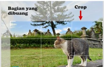Arti Istilah Crop Yang Sering Kita Dengar