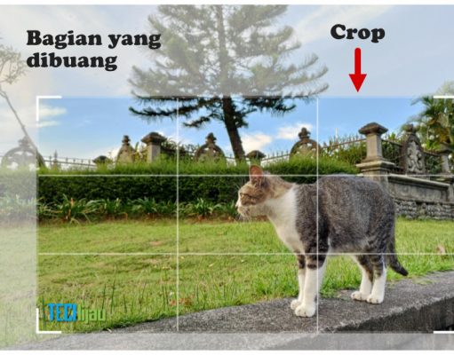 Arti Istilah Crop Yang Sering Kita Dengar