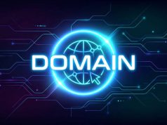 Strategi dan Dinamika Layanan Penyedia Domain Aged untuk Kebutuhan Bisnis Digital domain aged